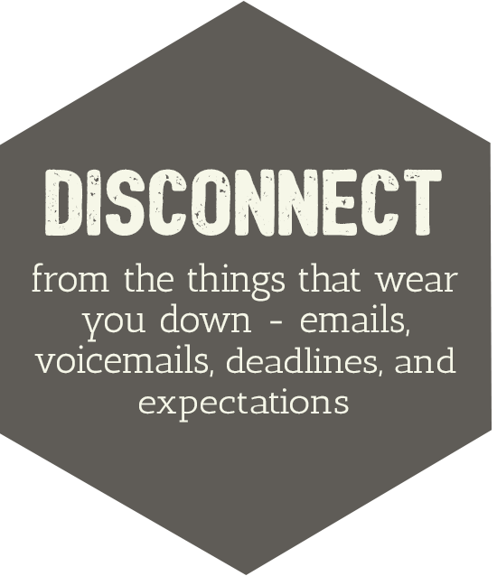 disconnect-brown